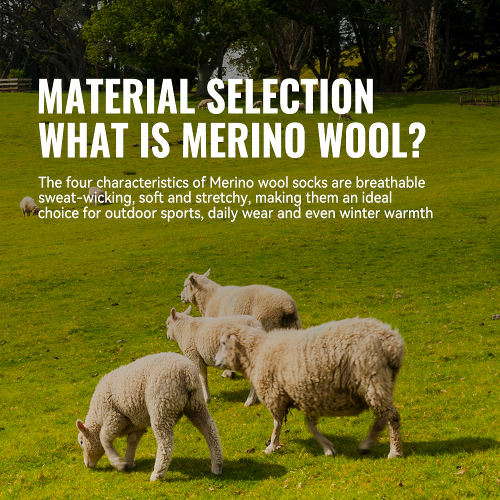 WRELS 1/2/3 Merino Wool Socks  - Thermal Sock Wool 리뷰 및 가격